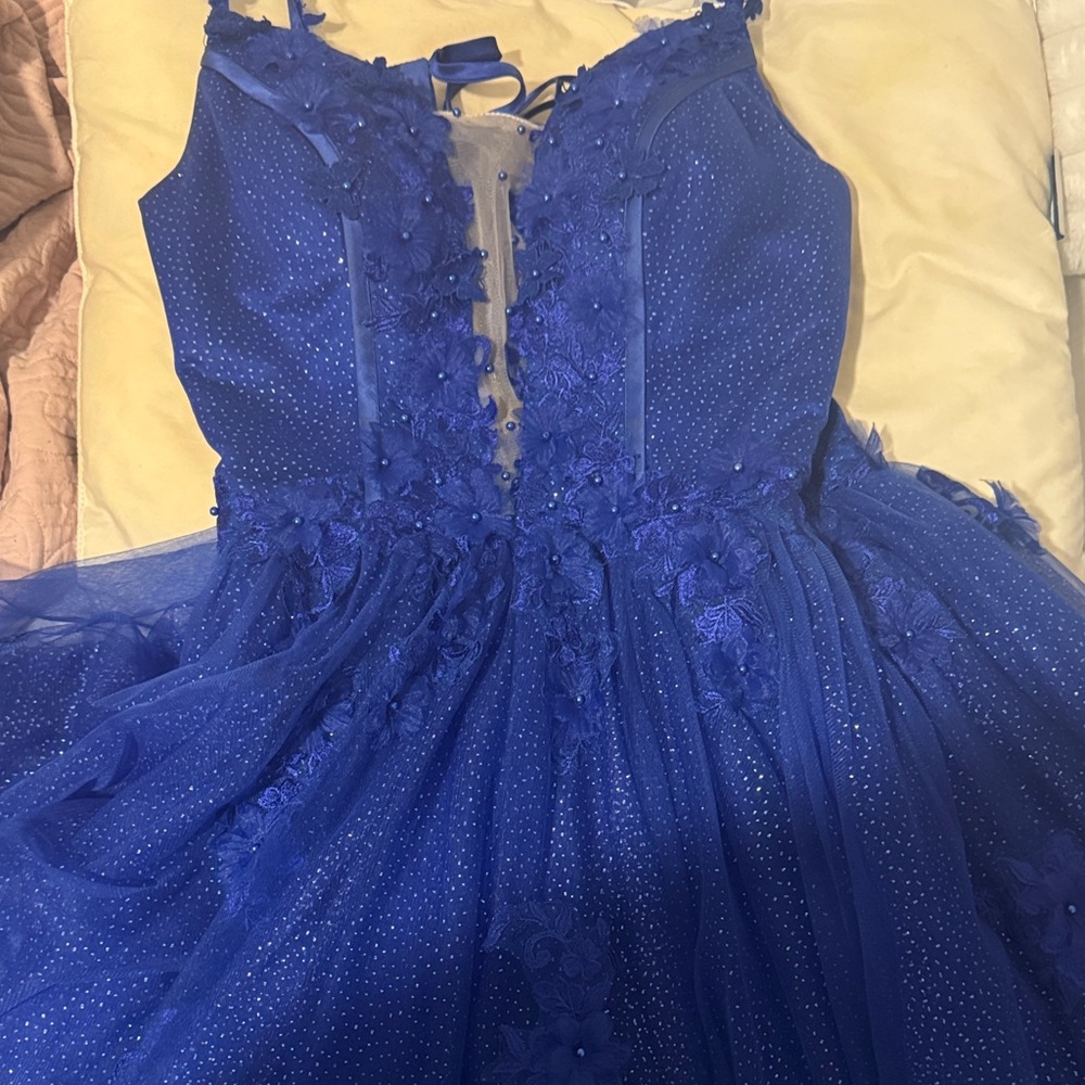 Quinceañera dress